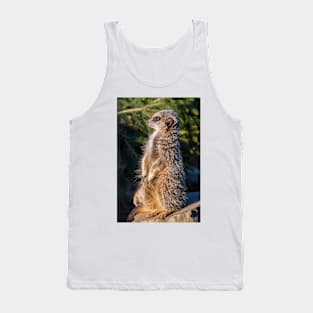 Meerkat at Peak Wildlife Park Tank Top